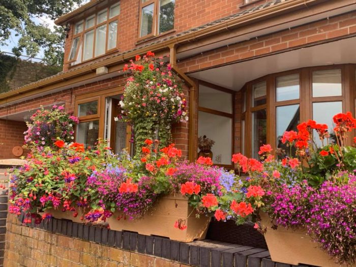 Spread some joy, with a hanging basket from My Life!