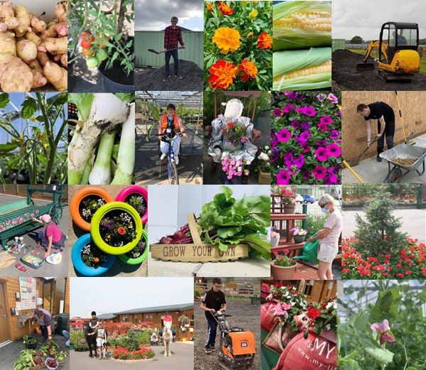 Our site is blooming, thanks to Standish Mini Diggers, our members and volunteers